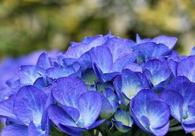 描写时间过的快的句子(共10句) 描写时间过的快的句子(共10句)