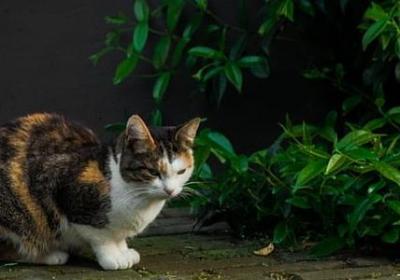 描写晨曦唯美句子(9句) 描写晨曦唯美句子(9句)