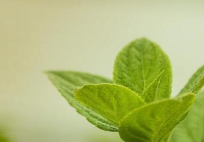 描写岁月沧桑的句子(精选50句) 描写岁月沧桑的句子(精选50句)