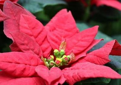 描写好奇心的句子(共50句) 描写好奇心的句子(共50句)