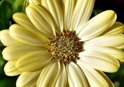 描写手指的句子(实用50句) 描写手指的句子(实用50句)