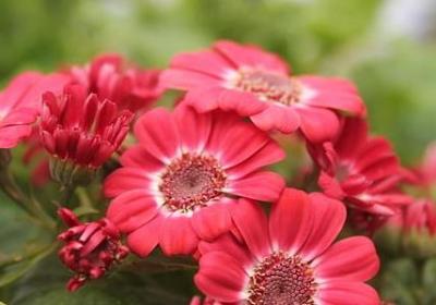 描写成熟男人的句子(热门10句) 描写成熟男人的句子(热门10句)