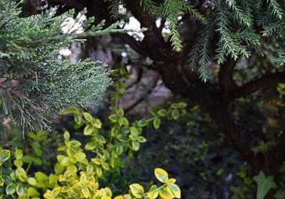 描写心静的句子(50句) 描写心静的句子(50句)