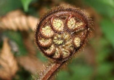 描写排球的句子(精选20句) 描写排球的句子(精选20句)