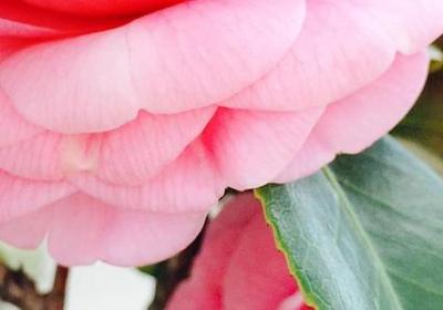 描写感动流泪的句子(优选50句) 描写感动流泪的句子(优选50句)