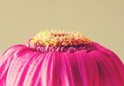 描写新疆美景的句子(汇总41句) 描写新疆美景的句子(汇总41句)