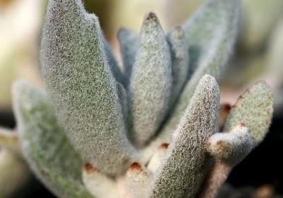 描写宏村的唯美短句(实用28句)