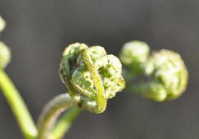 描写海边黄昏的句子(精选15句)