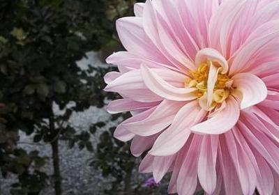 描写服务员的句子(精选20句)