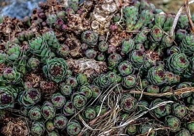 描写朋友相聚的句子(必备15句)