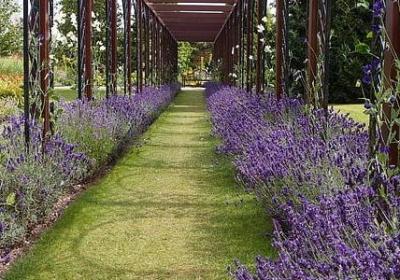 描写春游的句子 短句(共16句)