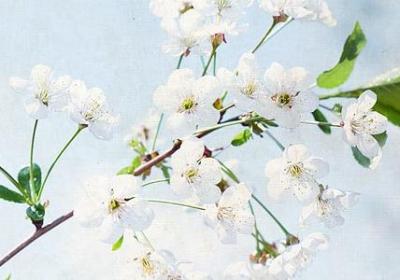 描写妇女外貌的句子(50句)