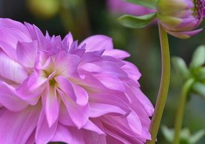 描写快节奏生活的句子(优选10句)