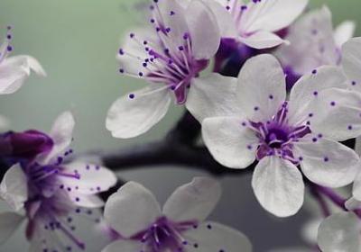 描写女子流泪的句子(必备30句) 描写女子流泪的句子(必备30句)