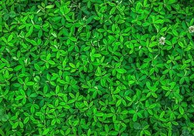 描写广州塔的句子(优选15句) 描写广州塔的句子(优选15句)