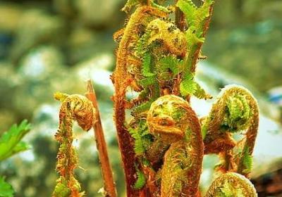 描写教室环境的句子(推荐10句) 描写教室环境的句子(推荐10句)