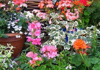 描写晚上加班经典句子(热门11句) 描写晚上加班经典句子(热门11句)