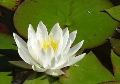 描写春天的句子大全(推荐11句) 描写春天的句子大全(推荐11句)