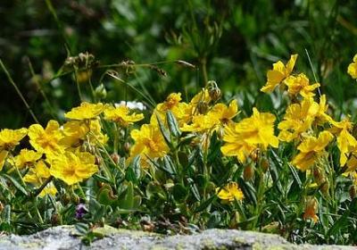 描写栈道的句子(共50句) 描写栈道的句子(共50句)