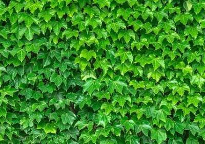 抒发心情不好的句子(热门30句) 抒发心情不好的句子(热门30句)