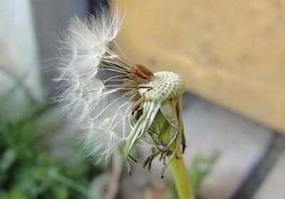 拟人句子怎么写(推荐50句) 拟人句子怎么写(推荐50句)