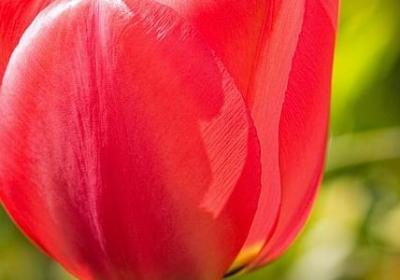 形容不顺心的句子(必备10句) 形容不顺心的句子(必备10句)