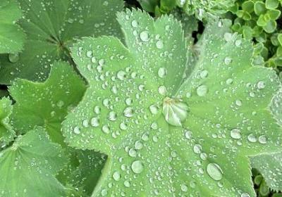 愿身边的人平安句子(优选50句) 愿身边的人平安句子(优选50句)