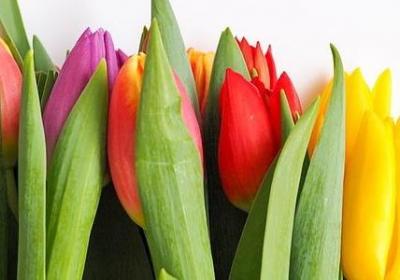 愿望成真的句子(共50句) 愿望成真的句子(共50句)