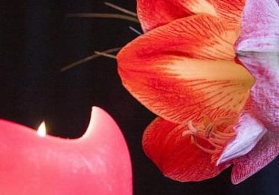 描写小溪清澈的句子(必备58句) 描写小溪清澈的句子(必备58句)