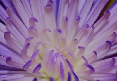 形容雨中漫步的句子(精选50句) 形容雨中漫步的句子(精选50句)