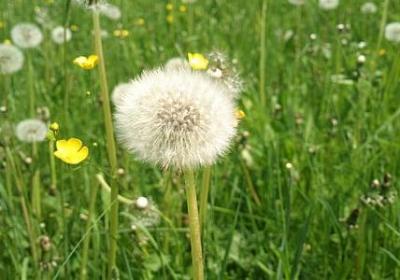 心疼爸爸辛苦的句子(热门50句) 心疼爸爸辛苦的句子(热门50句)