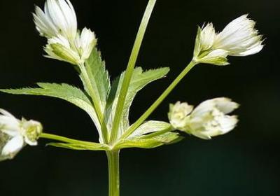 感动爱情短句(合集50句) 感动爱情短句(合集50句)