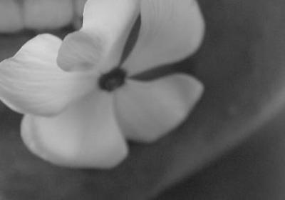 我知道把句子补充完整(精选30句) 我知道把句子补充完整(精选30句)