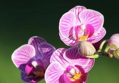 扣字骂人词汇短句(共1句)