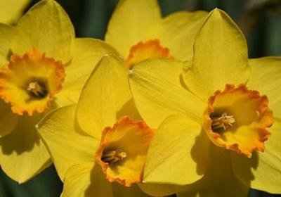 描写新西兰美景的句子(优选51句)