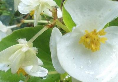 抒情心情的短句子(热门50句)