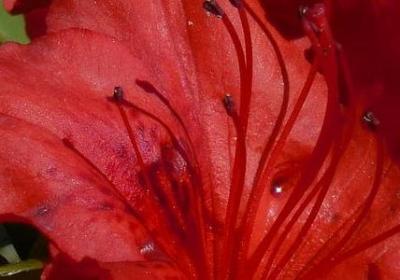 拒绝诱惑优美句子(精选50句)