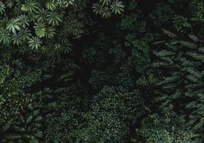 描写女人高傲的句子(实用50句)