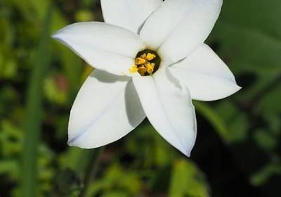 我想哭的句子(通用20句)