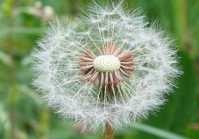 形容母子的句子(50句)