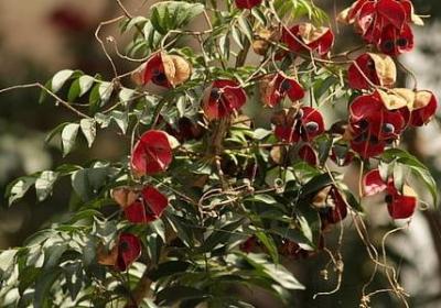 描写妈妈疲惫的句子(汇总50句)