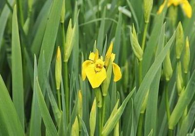 成长的代价的句子(合集50句)