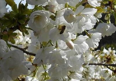 拉拢人心的句子(精选50句)