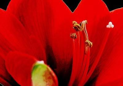 押un韵的句子(优选20句)