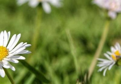 手机版征途复仇句子(精选50句)