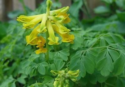 扎心短句(合集50句)