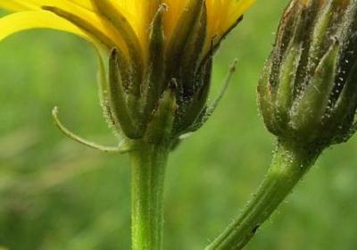 描写女人背影的句子(汇总30句)