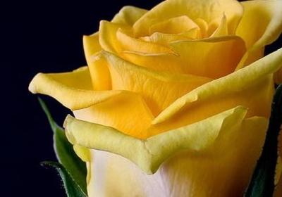 描写古堡的句子(优选19句)