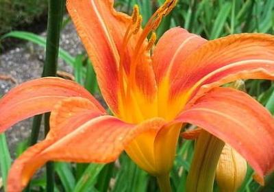 对宝宝的爱的简短句子(热门50句)