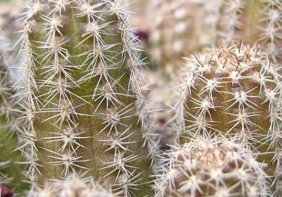 拥抱蓝天的句子(必备50句)